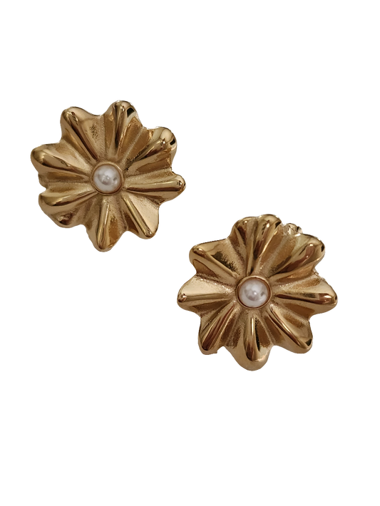 Aretes Ariana